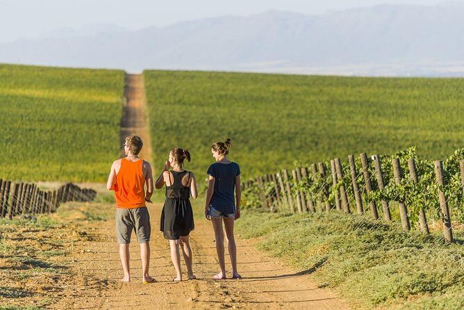 Full-Day Private Guided Tour of Champagne wih Hotel Pickup - Why This Tour Works Well for Certain Travelers