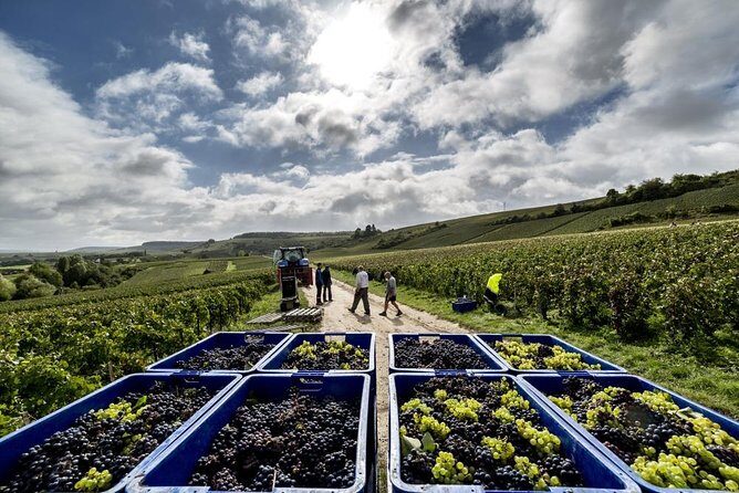 Full-Day Private Guided Tour of Champagne wih Hotel Pickup - FAQ