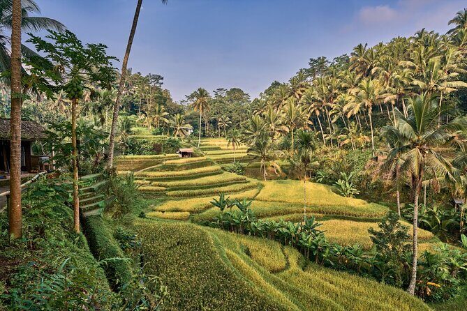 Full Day Private Guided Tour to Bali - Who Should Consider This Tour?