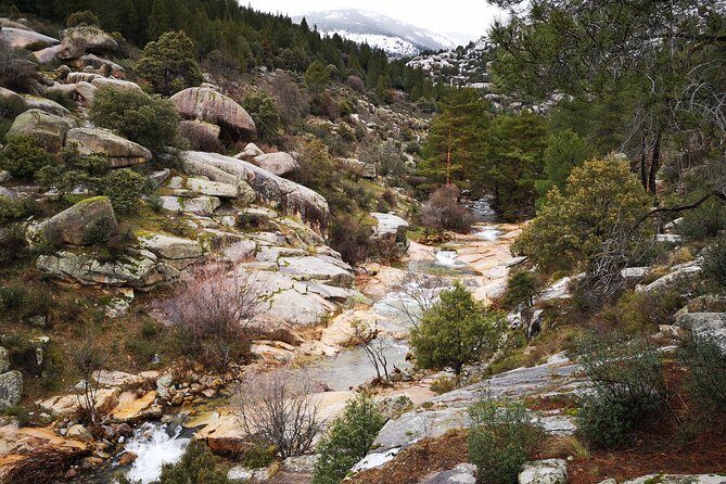 Full-Day Private Guided Tour to Guadarrama National Park - Who Will Love This Tour?