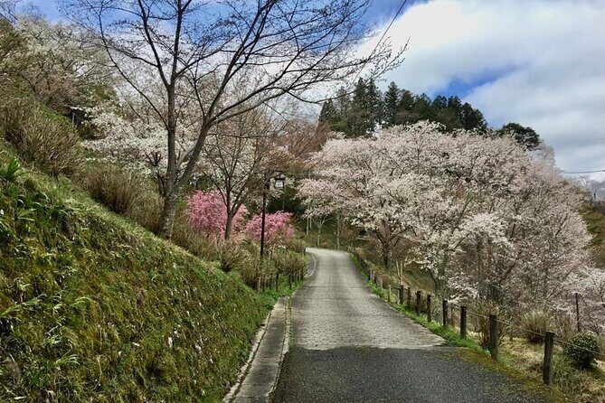 Full-Day Private Guided Tour to Yoshino, Japanese Mountain - Who Will Enjoy This Tour?