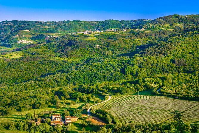 Full-Day Private Istria Wine Tour Experience from Porec - Key Points
