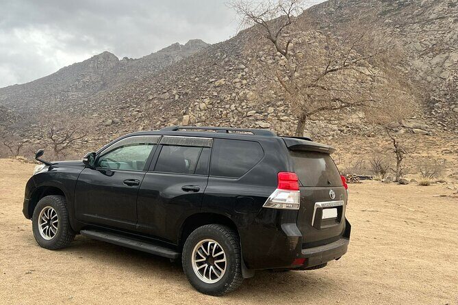 Full Day Private Jeep Tour to Elsen Tasarkhai, Semi-Gobi - Experience the Semi-Gobi with a Private Jeep Tour from Ulaanbaatar