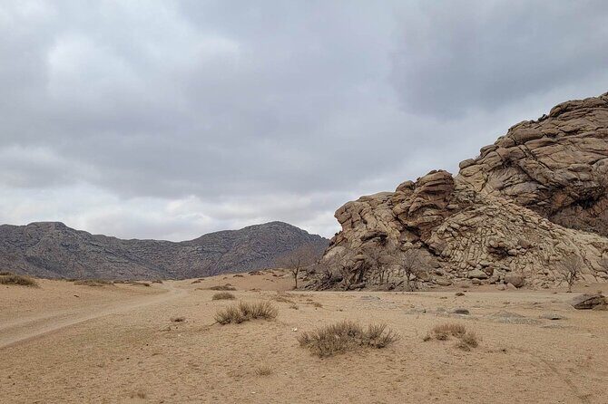 Full Day Private Jeep Tour to Elsen Tasarkhai, Semi-Gobi - The Value of This Tour
