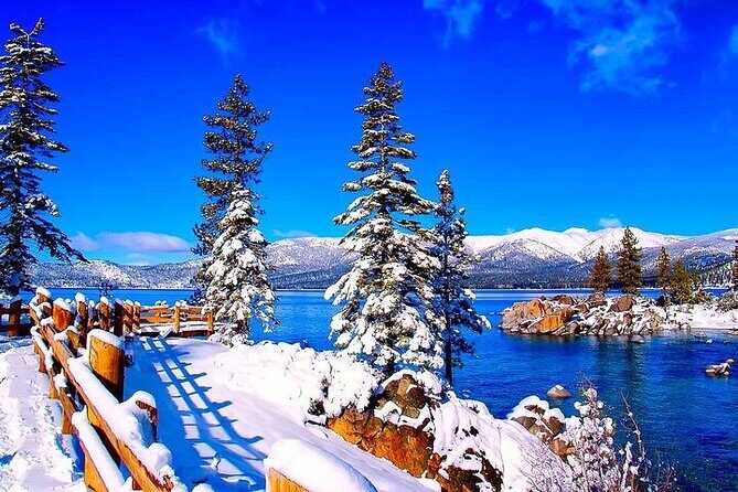 Full Day Private Lake Tahoe Tour from Oakland - Why This Tour Offers Great Value