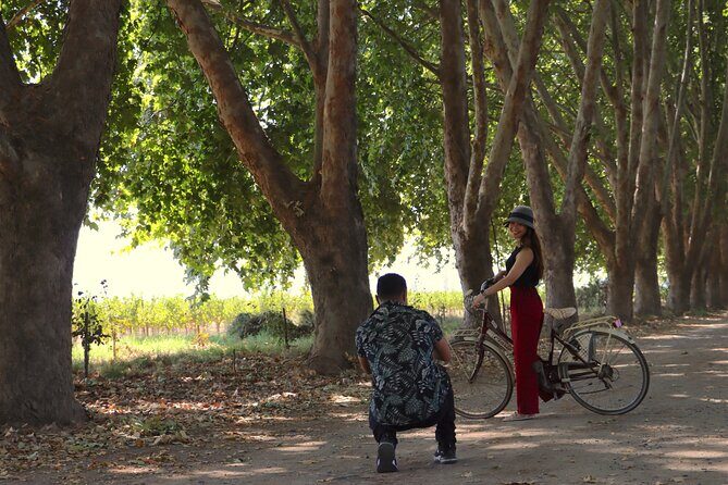 Full-Day Private Maipo Valley Bike Tour and Wine Tasting from Santiago - An In-Depth Look at the Experience