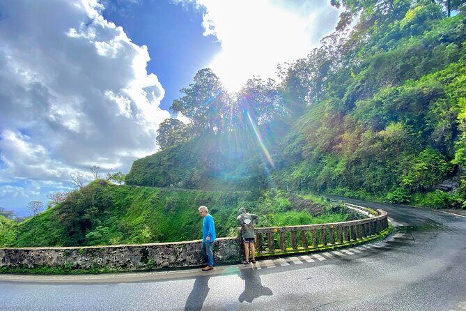 Full Day Private Maui Tour - The Sum Up