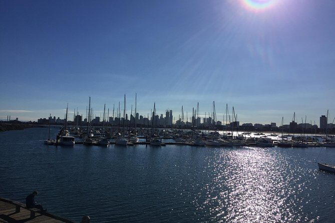 Full Day Private Melbourne City Tour with Wildlife Park Visit. - Why Choose This Tour?