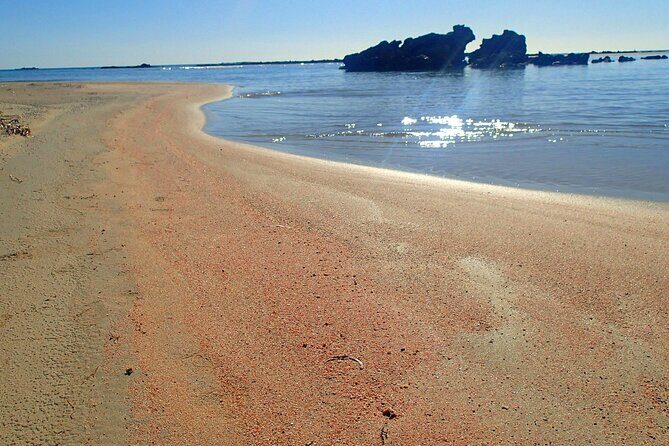Full Day Private Minivan Tour to Elafonisi Beach and kedrodasos - FAQs