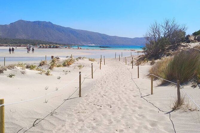 Full Day Private Minivan Tour to Elafonisi Beach and kedrodasos - Final Thoughts