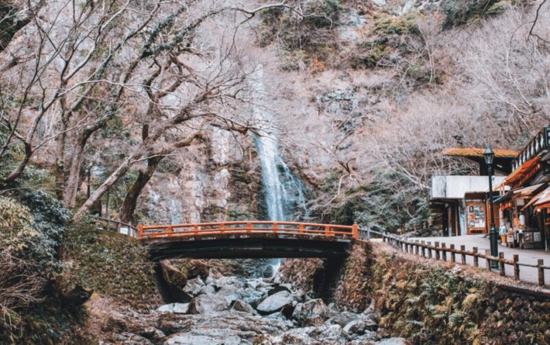 Full Day Private Osaka City Tour with EnglishSpeaking guide - Minoo Falls: Nature and Scenic Views