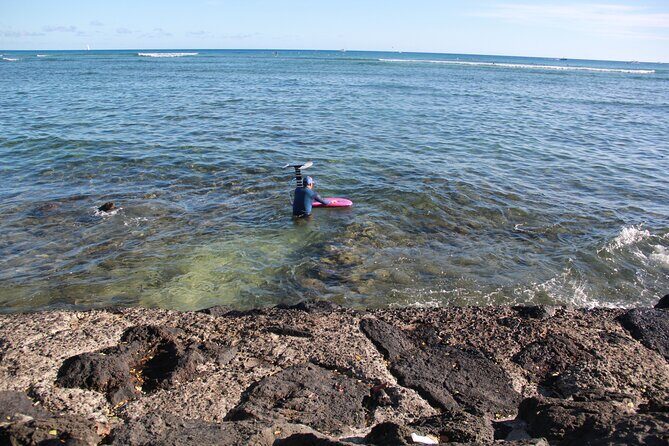 Full Day Private Professional Photo/Video Tour in Honolulu Island - Exploring the Details of the Full Day Oahu Photo/Video Tour