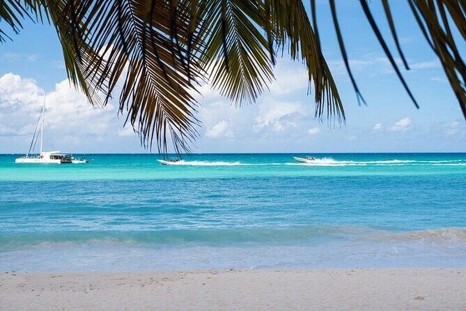 Full-Day private Punta Cana saona Tour by Speedboat - Who Is This Tour Best For?