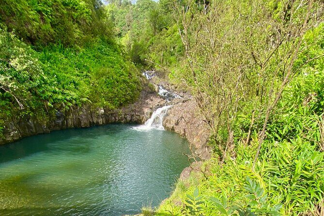 Full Day Private Road Tour to Hana - Exploring the Road to Hana with Your Own Guide