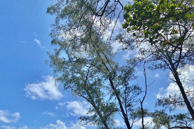 Full Day Private Road Tour to Hana - The Sum Up