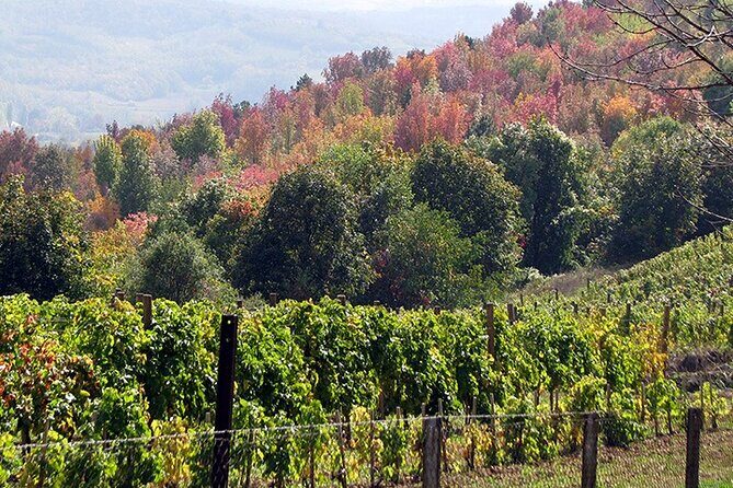 Full-Day Private Royal Heritage Tour to Oplenac With a Winery Visit - The Value Proposition