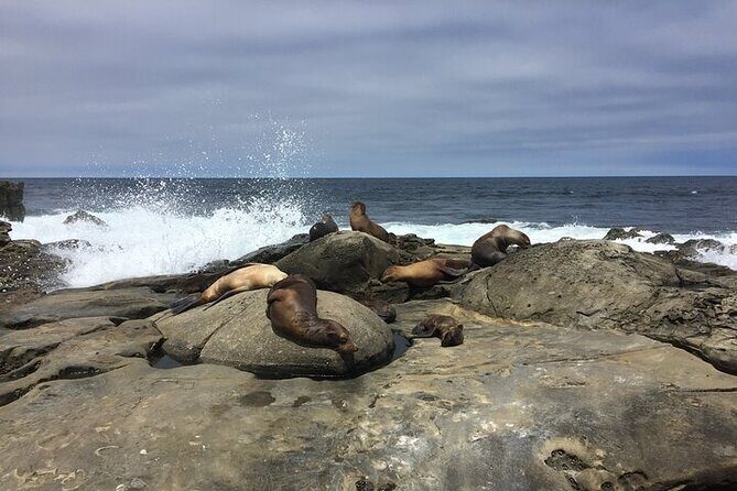 Full Day Private SD Tour from Coronado Island - A Complete Day Exploring San Diego from Coronado Island