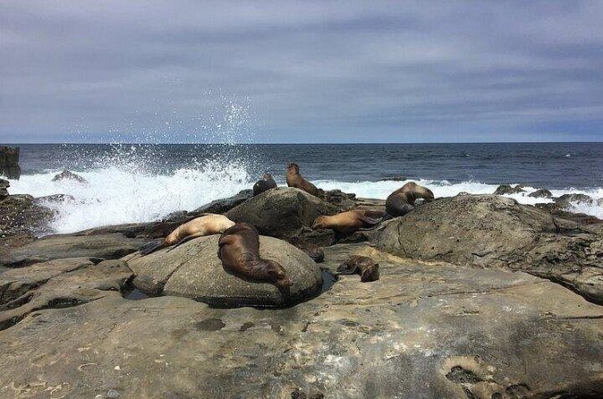 Full Day Private SD Tour from Coronado Island - Who Will Love This Tour?