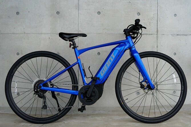 Full-Day Private Shimanami-Kaido E-Bike cruise Tour - Key Points