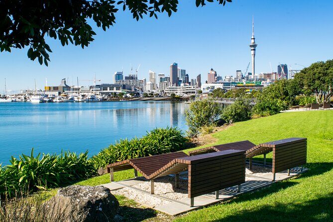 Full Day Private Shore Tour in Auckland from Auckland Cruise Port - Key Points