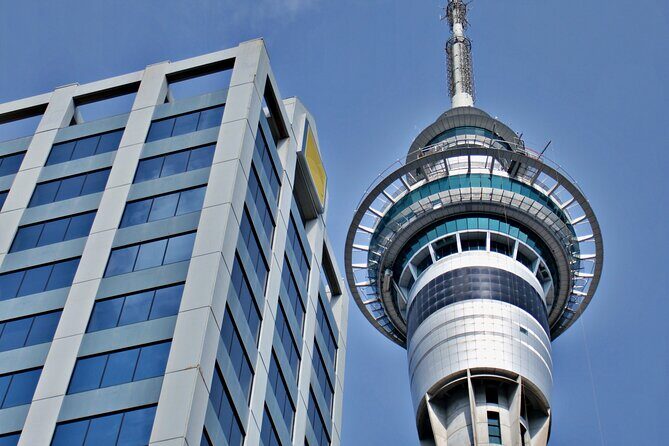 Full Day Private Shore Tour in Auckland from Auckland Cruise Port - Frequently Asked Questions