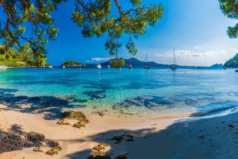 Full Day Private Shore Tour in Palma de Mallorca from Port - A Practical and Authentic Way to Experience Palma de Mallorca