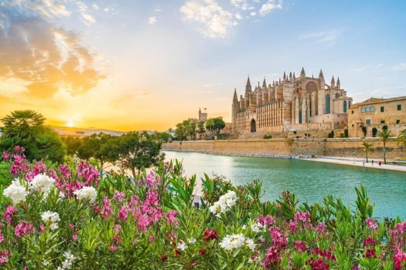 Full Day Private Shore Tour in Palma de Mallorca from Port - A Detailed Breakdown of the Itinerary