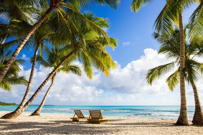 Full Day Private Shore Tour in Punta Cana from La Romana Port - A Practical Look at the Full Day Private Shore Tour in Punta Cana from La Romana Port