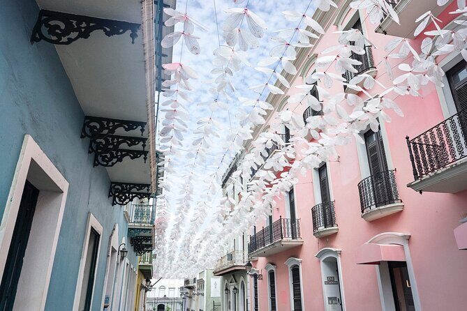 Full Day Private Shore Tour in San Juan from Ponce Cruise Port - FAQ