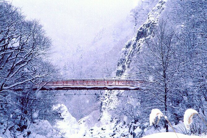 Full Day Private Skiing / Snowboarding Tour in Sapporo - An In-Depth Look at the Tour