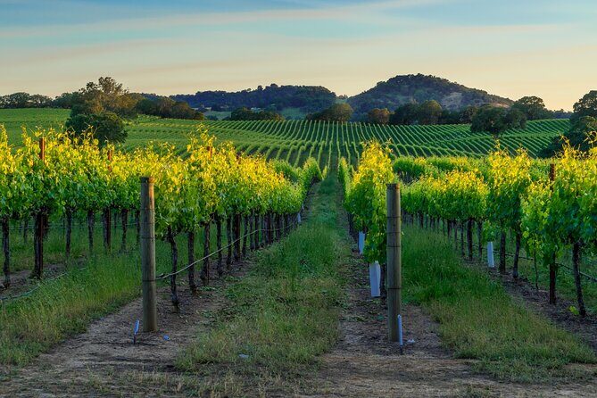 Full-Day Private Sonoma Valley Wine Tour from San Francisco - An In-Depth Look at the Sonoma Valley Private Tour