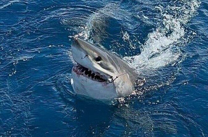 Full Day Private Sportfishing Charter in Fort Lauderdale - The Value of a Private, Full-Day Fishing Experience