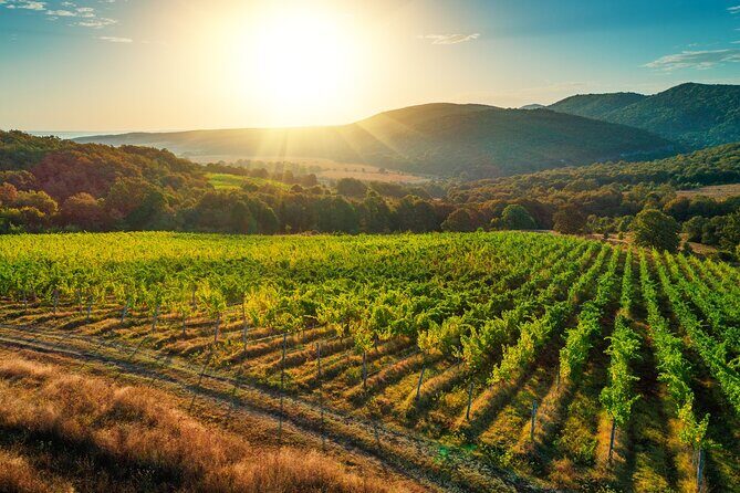 Full-Day Private Ston and Peljesac Wine Tour from Dubrovnik - A Practical Guide to Croatia’s Ston and Peljesac Wine Tour