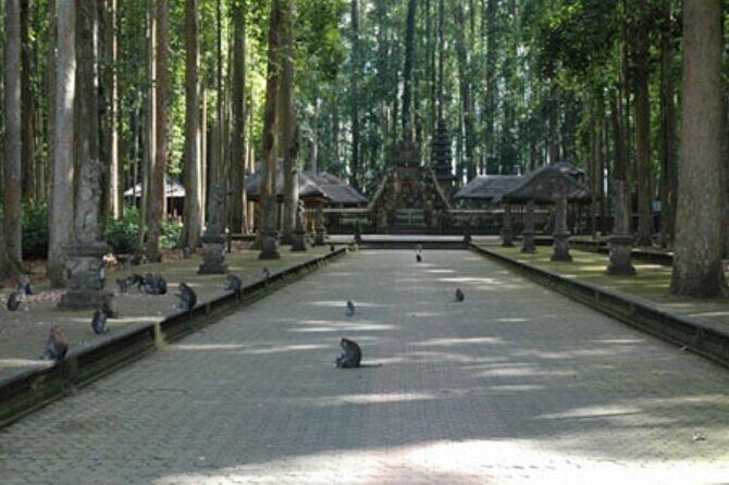 Full-Day Private Tabanan Tour in Bali - The Sum Up