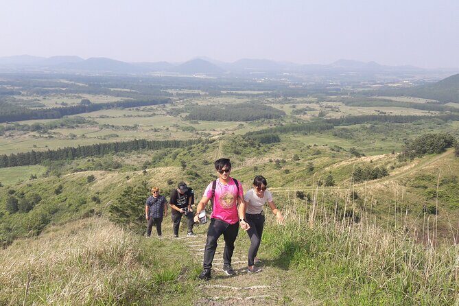 Full-Day Private Taxi Tour South of Jeju Island - What Our Reviewers Say