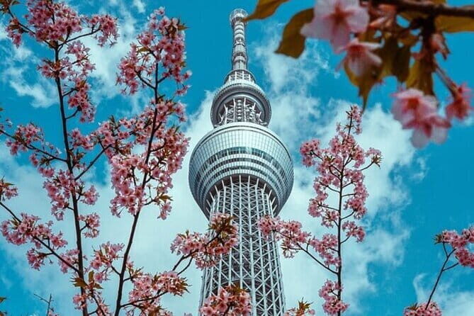 Full Day Private Tokyo Sightseeing Tour - Key Points