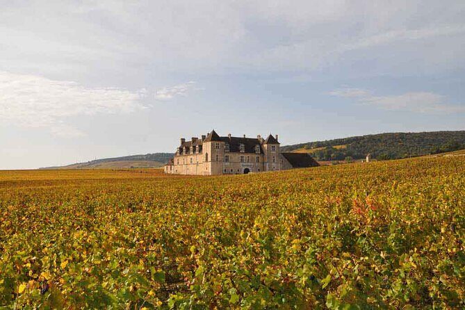 Full Day Private Tour 10 Premiers & Grands Crus, The Best of Burgundy - FAQ