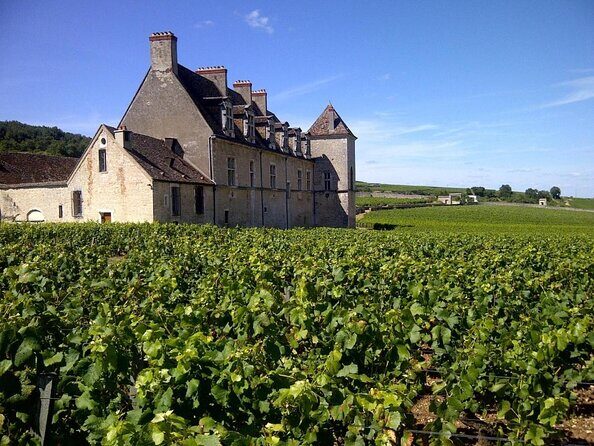 Full-Day Private Tour, 6 Premiers & Grands Crus, The Best of Burgundy - Discovering Burgundy: A Deep Dive into the Full-Day Tour