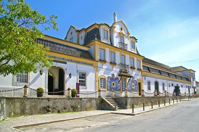 Full Day Private Tour - Arrábida Beaches and Azeitão Wine Region - FAQ