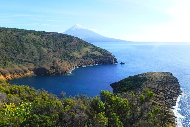 Full-Day Private Tour - Faial Island - Final Thoughts