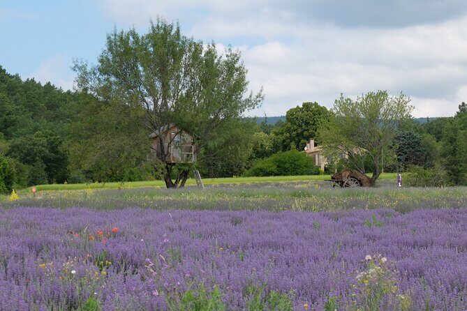 Full Day Private Tour from Avignon - Exploring the Full Day Private Tour from Avignon