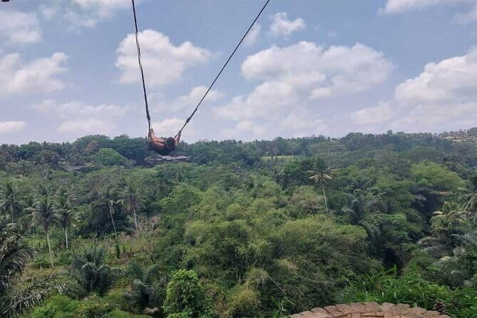 Full Day Private Tour from Tegenungan Waterfall to Tanah Lot - In-Depth Look at Each Stop