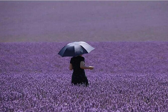 Full-day Private Tour Gorges du Verdon (LAVENDER JUNE 15/JULY 15) - Exploring Provence’s Most Photogenic Landscapes