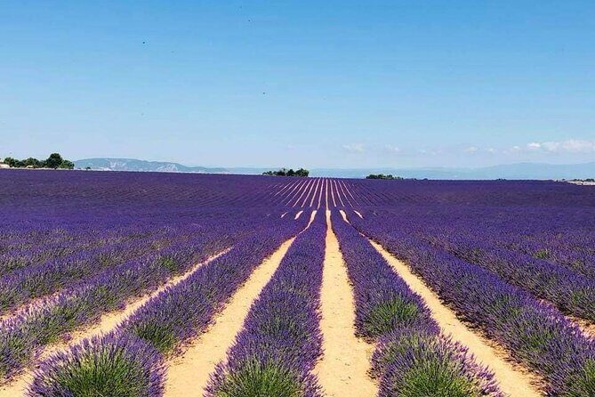 Full-day Private Tour Gorges du Verdon (LAVENDER JUNE 15/JULY 15) - Practicalities and Personal Experiences