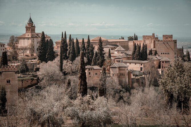 Full Day Private Tour in Alhambra from Malaga - Who Will Love This Tour?
