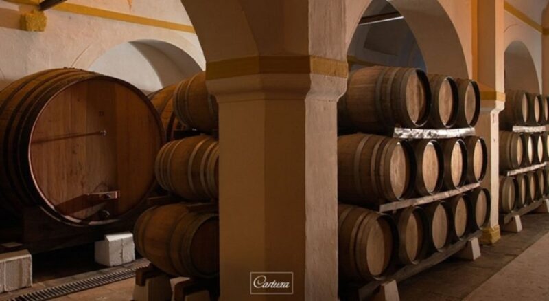 Full-Day Private Tour in Évora with Winery Tour from Lisbon - Exploring Évora on a Private Day Tour from Lisbon