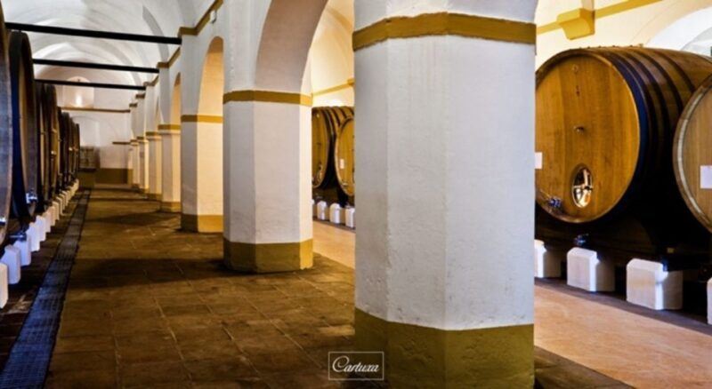 Full-Day Private Tour in Évora with Winery Tour from Lisbon - Key Points