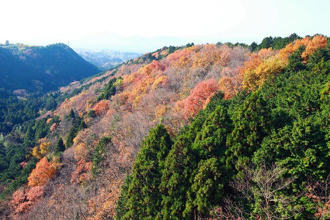 Full Day Private Tour in Hakone - Who Would Love This Tour?