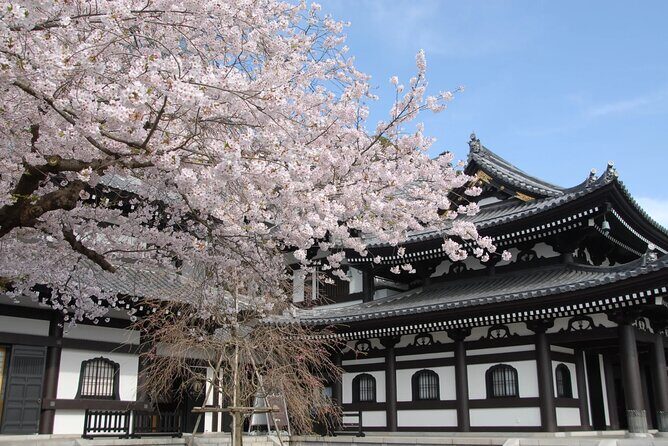 Full Day Private Tour In Kamakura English Speaking Driver - FAQs
