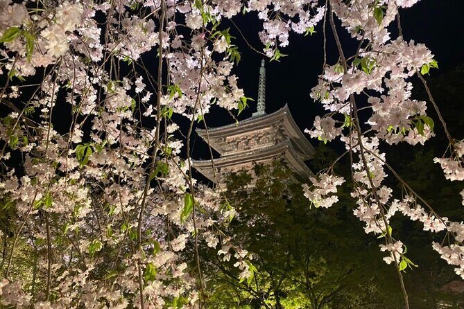 Full Day Private Tour in Kyoto with Pickup - Price and Value